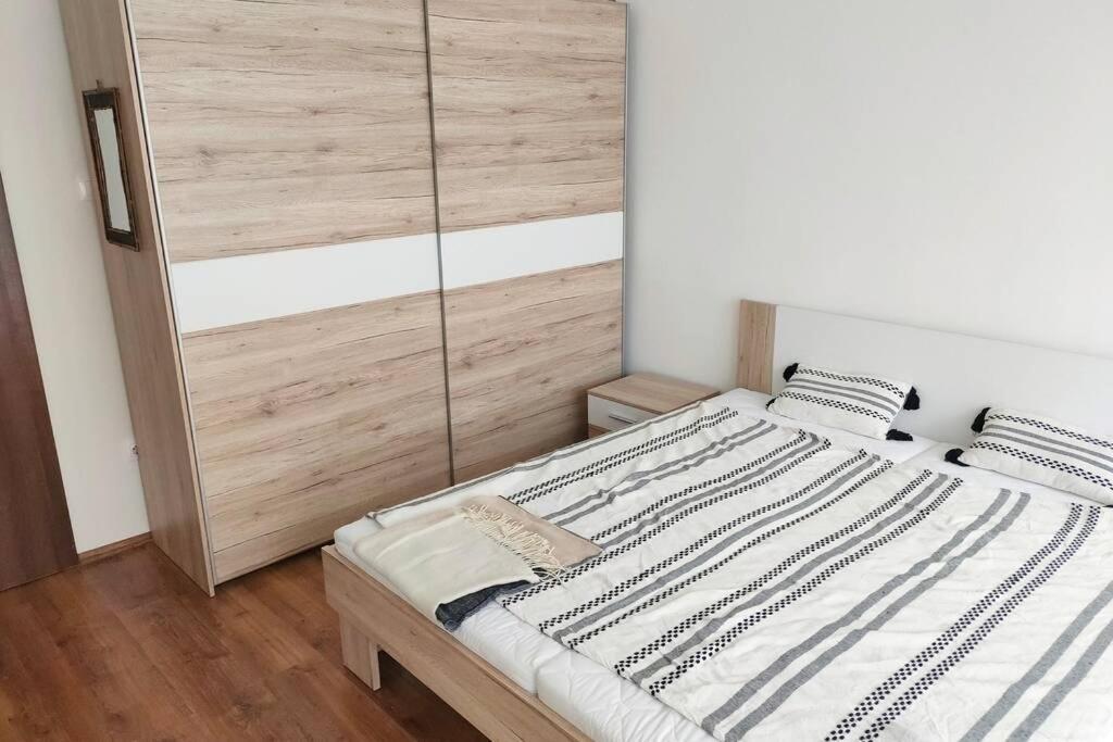 Plaza Apartman - City Center, Free Parking, Free Wifi Debrecen Buitenkant foto